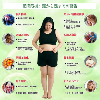 ✨内臓脂肪対策サポート 👩‍⚕️GeeLemon®＆NAD+ 8-in-1 ナノ強化フォーミュラ — 肥満、肌のたるみ、糖尿病、睡眠時無呼吸症候群、関節の悩み、その他健康上の懸念にアプローチ🛍️